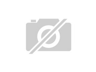 Suche Katzenbaby-Hauskatze